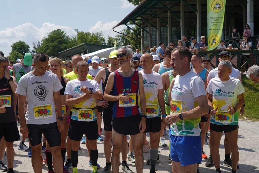 XI Piknik Olimpijski Wrocławia i Dolnego Śląska na Torze Wyścigów Konnych  - Partynice