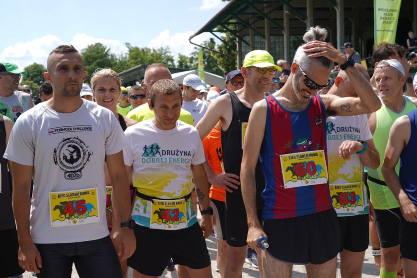 XI Piknik Olimpijski Wrocławia i Dolnego Śląska na Torze Wyścigów Konnych  - Partynice