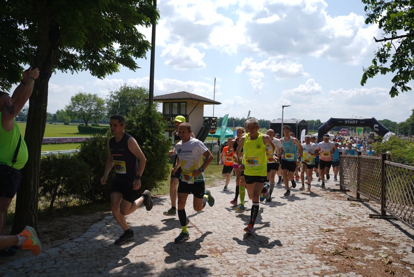 XI Piknik Olimpijski Wrocławia i Dolnego Śląska na Torze Wyścigów Konnych  - Partynice