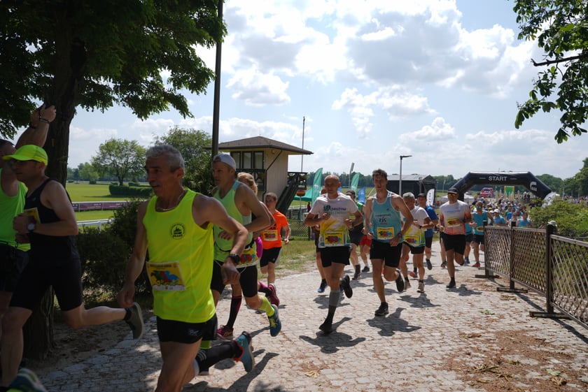 XI Piknik Olimpijski Wrocławia i Dolnego Śląska na Torze Wyścigów Konnych  - Partynice