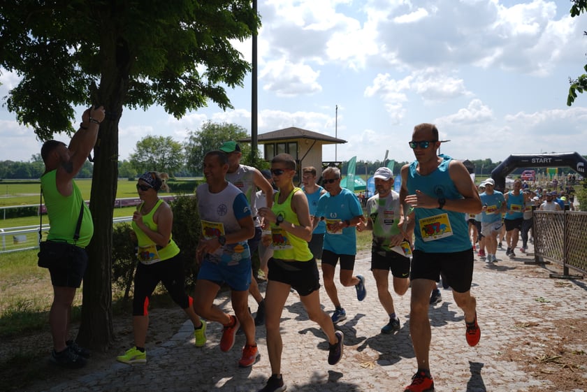 XI Piknik Olimpijski Wrocławia i Dolnego Śląska na Torze Wyścigów Konnych  - Partynice