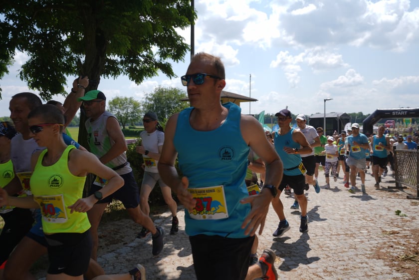 XI Piknik Olimpijski Wrocławia i Dolnego Śląska na Torze Wyścigów Konnych  - Partynice