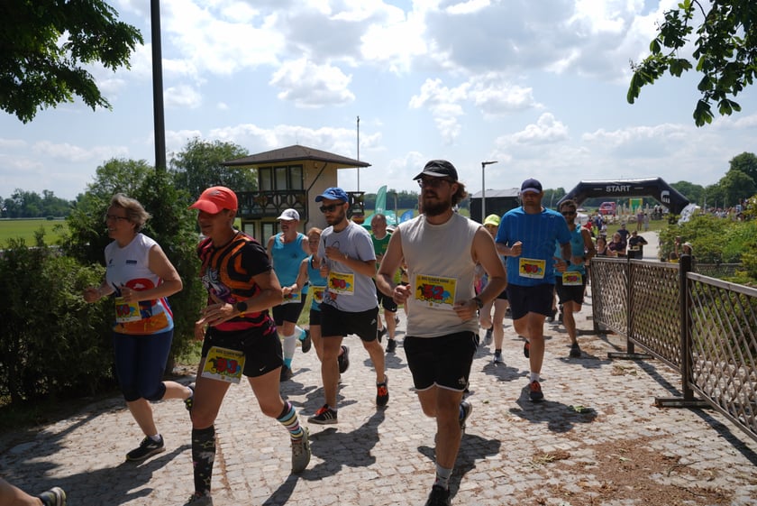 XI Piknik Olimpijski Wrocławia i Dolnego Śląska na Torze Wyścigów Konnych  - Partynice