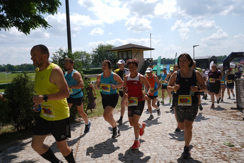 XI Piknik Olimpijski Wrocławia i Dolnego Śląska na Torze Wyścigów Konnych  - Partynice