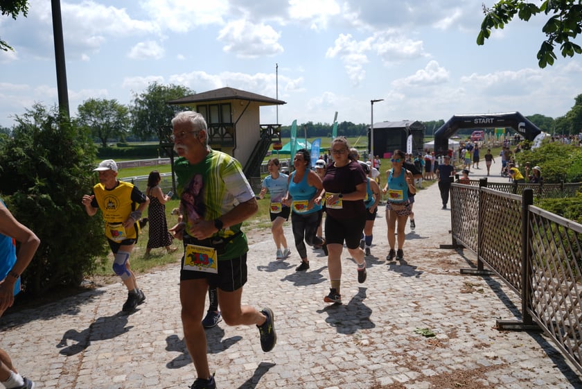 XI Piknik Olimpijski Wrocławia i Dolnego Śląska na Torze Wyścigów Konnych  - Partynice