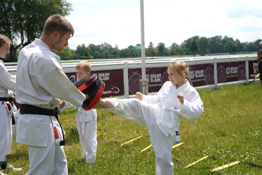XI Piknik Olimpijski Wrocławia i Dolnego Śląska na Torze Wyścigów Konnych  - Partynice