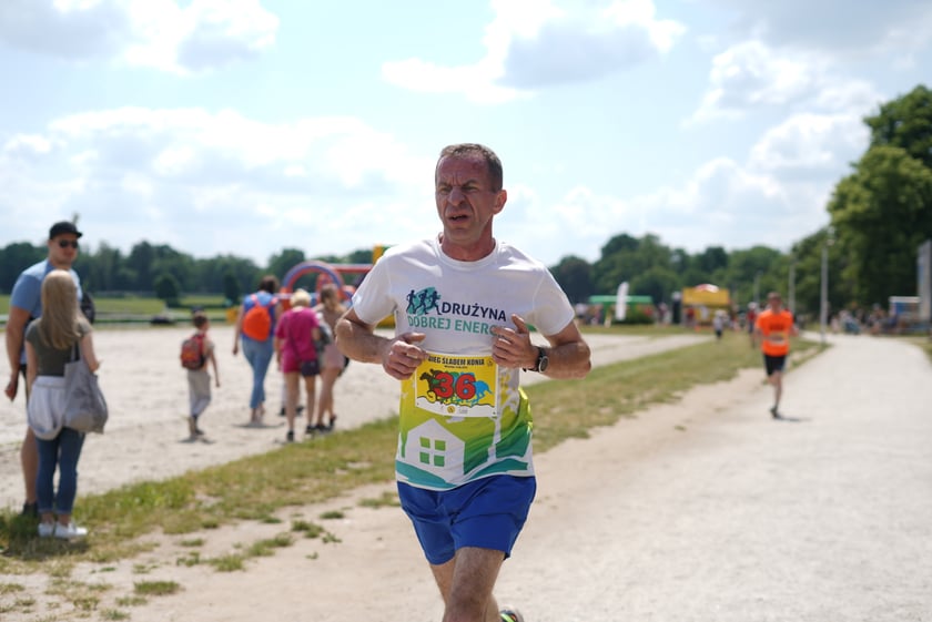 XI Piknik Olimpijski Wrocławia i Dolnego Śląska na Torze Wyścigów Konnych  - Partynice