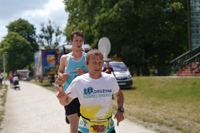 XI Piknik Olimpijski Wrocławia i Dolnego Śląska na Torze Wyścigów Konnych  - Partynice