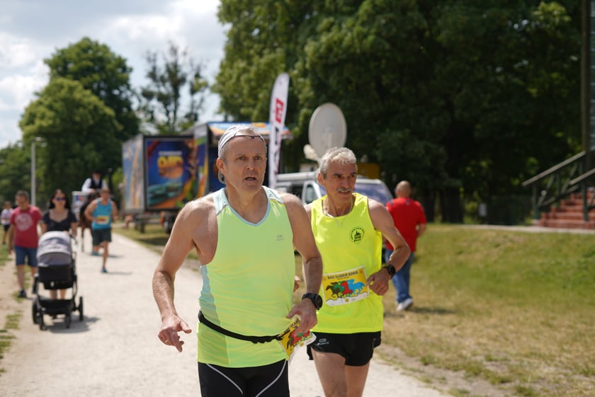 XI Piknik Olimpijski Wrocławia i Dolnego Śląska na Torze Wyścigów Konnych  - Partynice