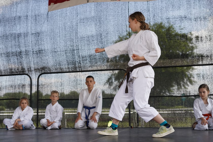 XI Piknik Olimpijski Wrocławia i Dolnego Śląska na Torze Wyścigów Konnych  - Partynice