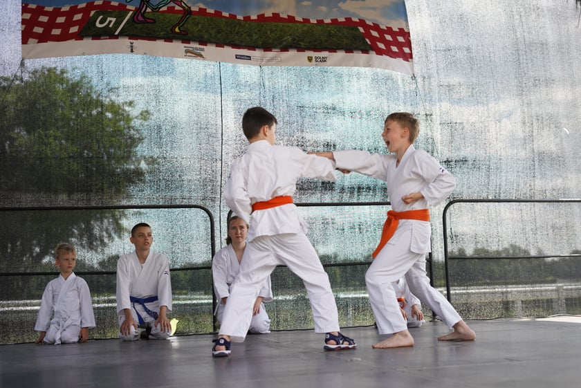 XI Piknik Olimpijski Wrocławia i Dolnego Śląska na Torze Wyścigów Konnych  - Partynice