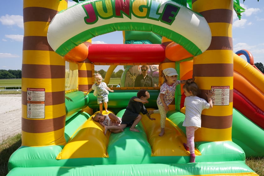 XI Piknik Olimpijski Wrocławia i Dolnego Śląska na Torze Wyścigów Konnych  - Partynice