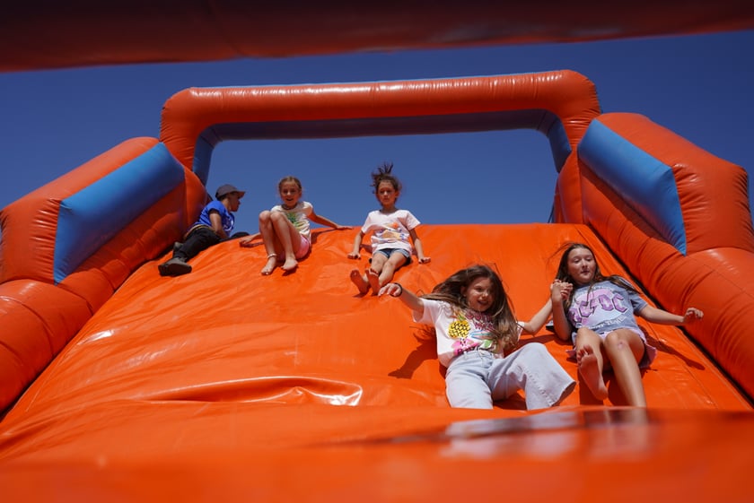 XI Piknik Olimpijski Wrocławia i Dolnego Śląska na Torze Wyścigów Konnych  - Partynice