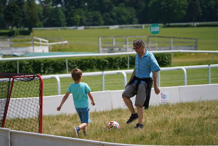 XI Piknik Olimpijski Wrocławia i Dolnego Śląska na Torze Wyścigów Konnych  - Partynice