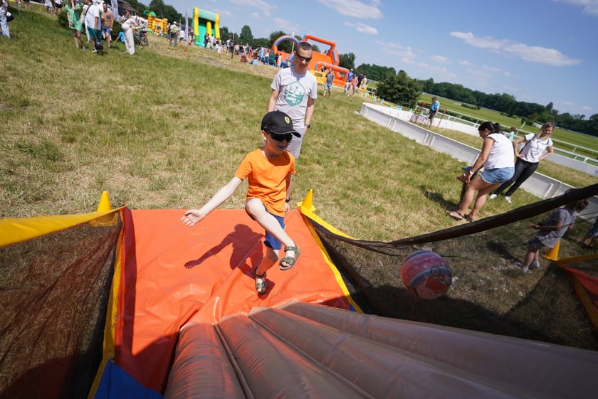 XI Piknik Olimpijski Wrocławia i Dolnego Śląska na Torze Wyścigów Konnych  - Partynice