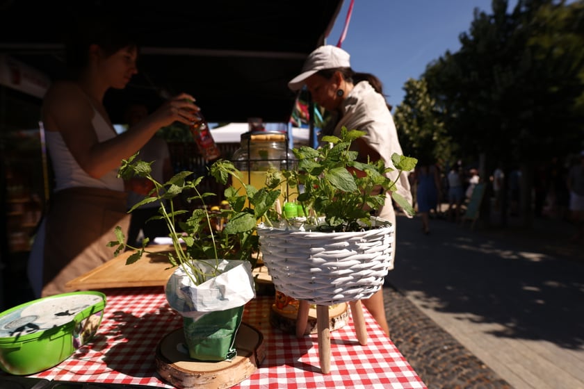 Gastro Miasto 2023. Wrocławianie obecni na kulinarnej imprezie na bulwarze Dunikowskiego