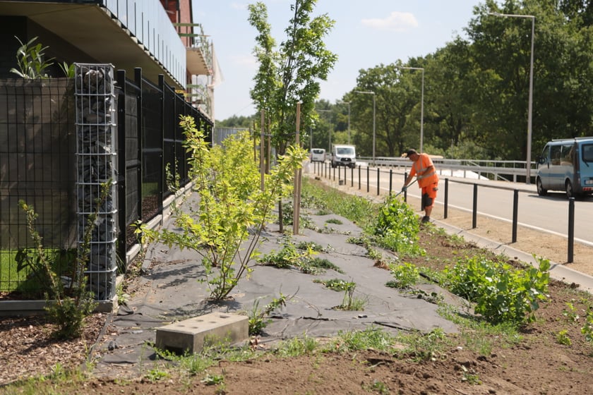 Ślęzoujście w modernizacji, lipiec 2023