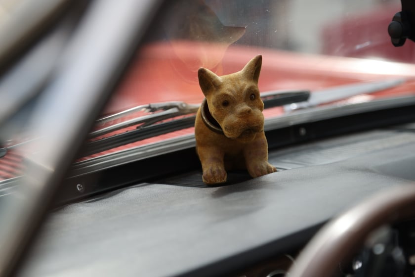 Uczestnicy Rajdu dla Zuchwałych na placu Wolności we Wrocławiu