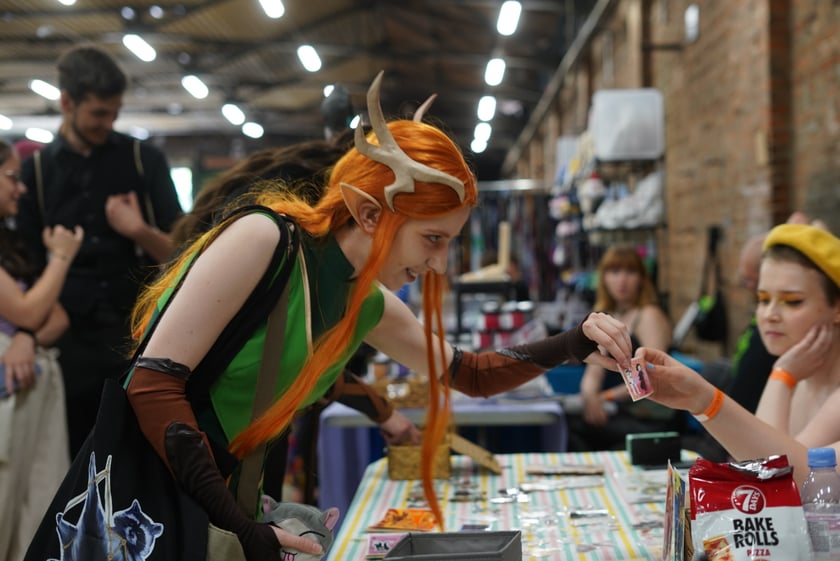 Targi Hobbystyczne NiuCon