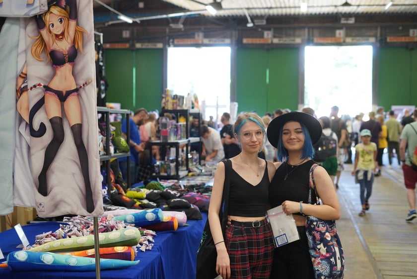 Targi Hobbystyczne NiuCon