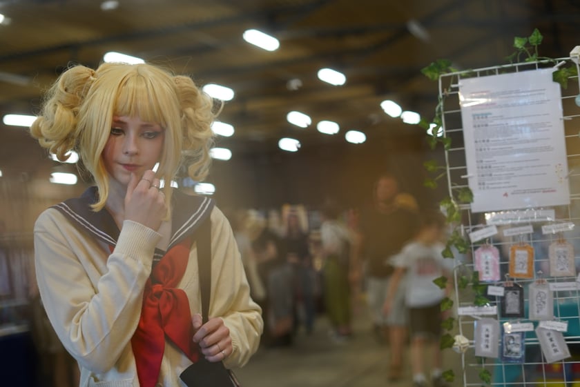 Targi Hobbystyczne NiuCon