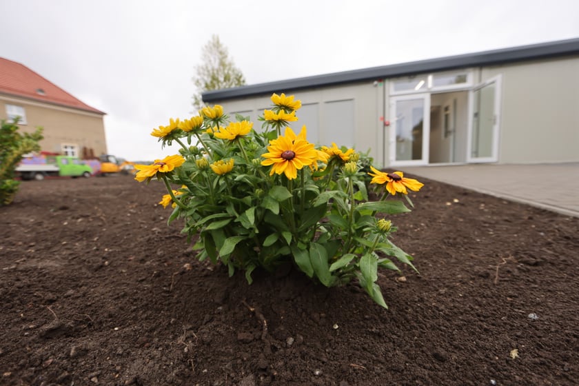 Nowa Publiczna Szkoła Podstawowa Specto przy ul. Lubelskiej 95a na Maślicach