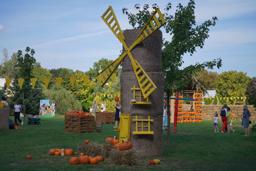 Dyniowa Farma we Wrocławiu