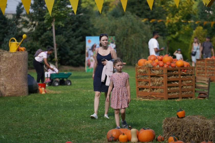 Dyniowa Farma we Wrocławiu