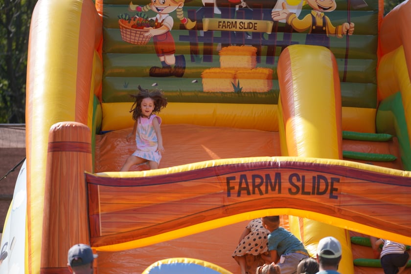 Dyniowa Farma we Wrocławiu