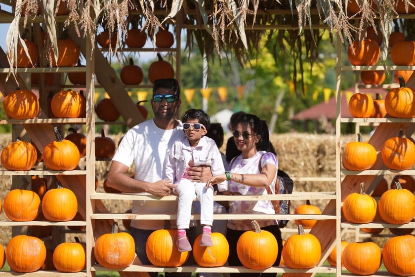 Dyniowa Farma we Wrocławiu