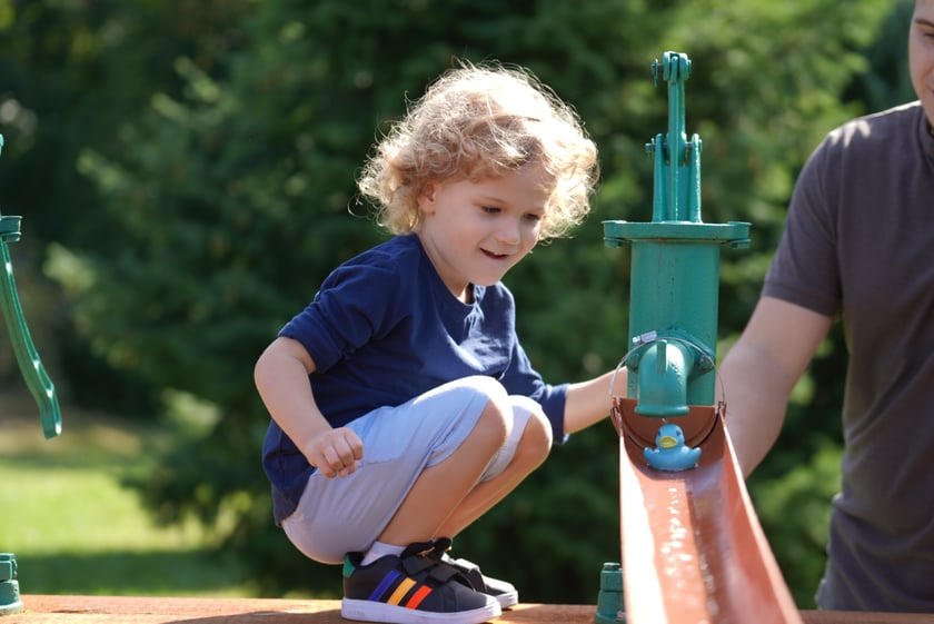 Dyniowa Farma we Wrocławiu