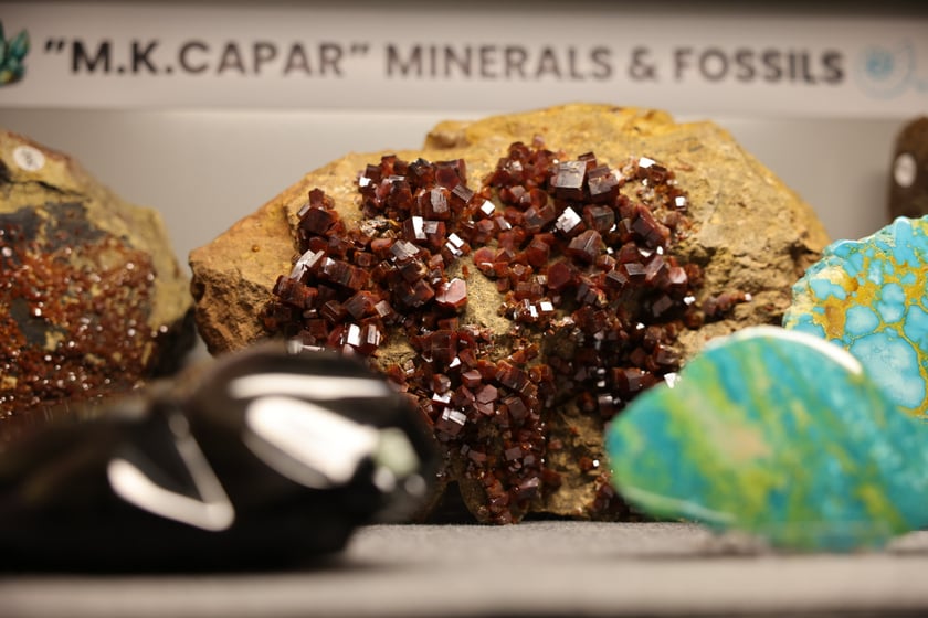 Giełda minerałów w NOT