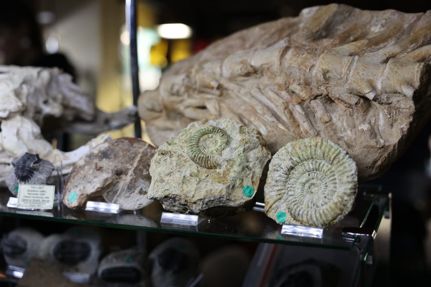 Giełda minerałów w NOT