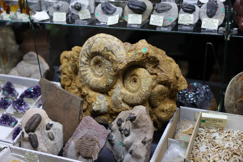 Giełda minerałów w NOT