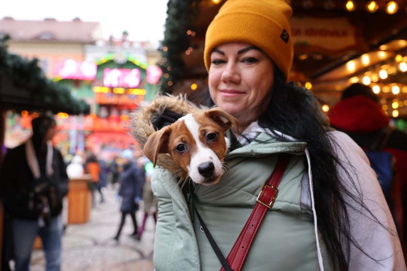 Jarmark Bożonarodzeniowy we Wrocławiu w drugi dzień świąt