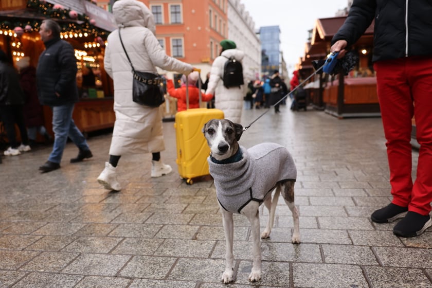 Jarmark Bożonarodzeniowy we Wrocławiu w drugi dzień świąt