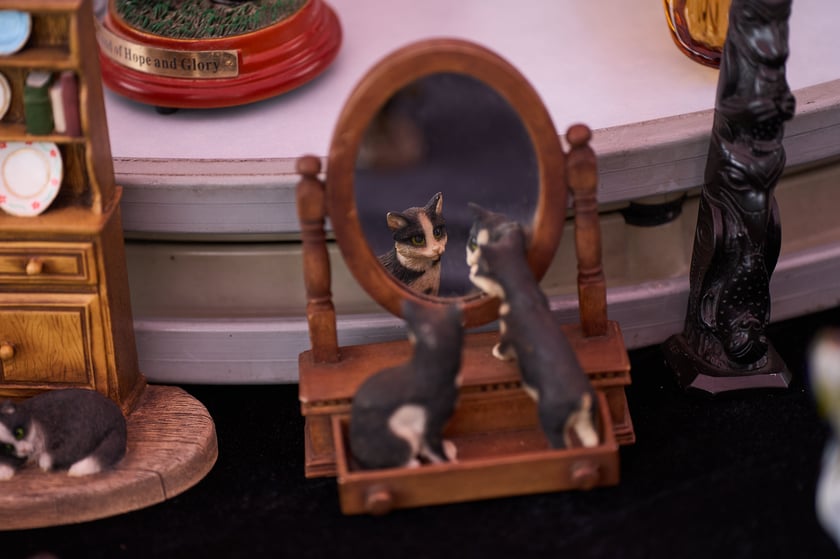 Giełda staroci pod Halą Stulecia 27.01.2024