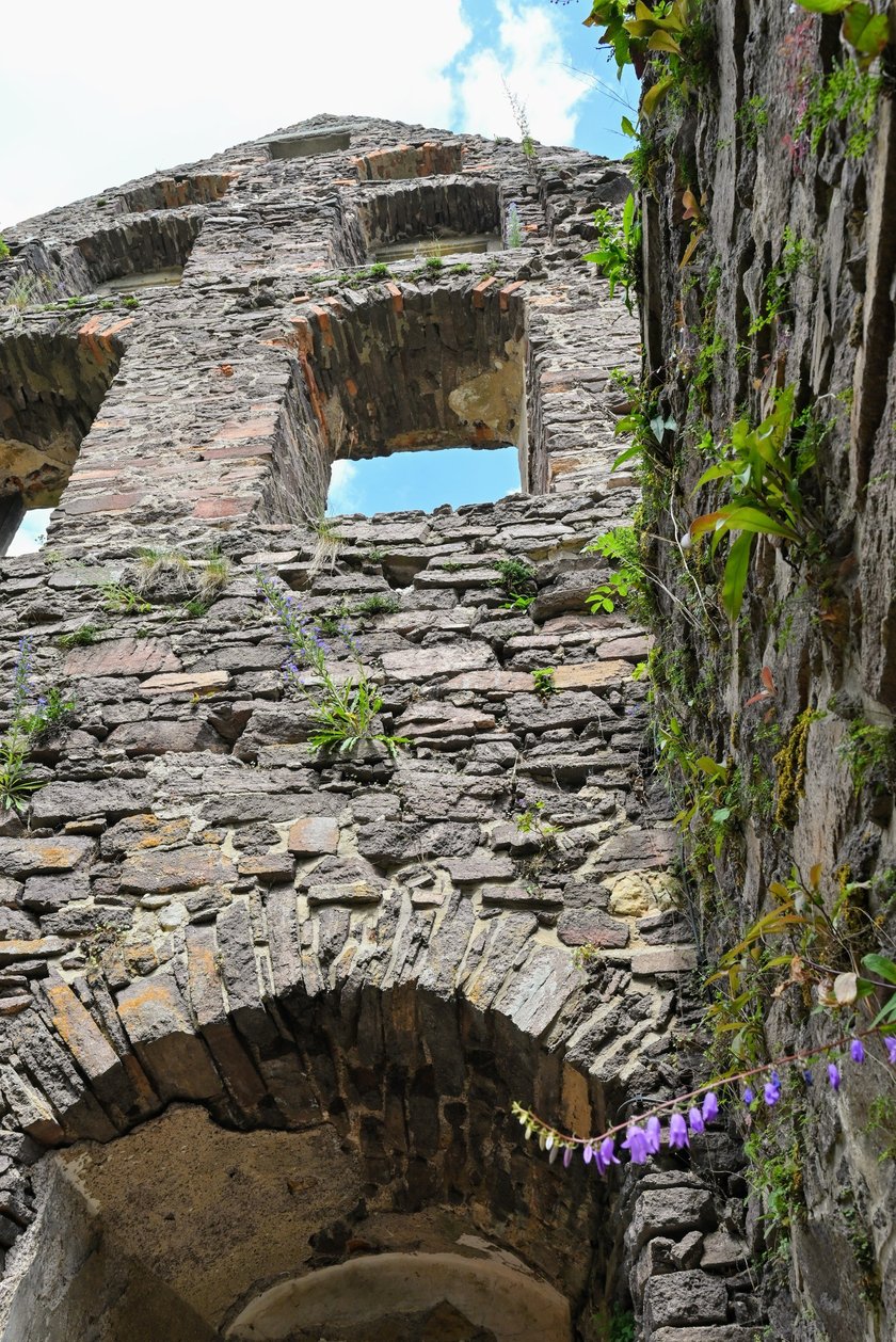 Zamek Świny. Klimatyczny zabytek nieopodal Bolkowa, ponad godzinę jazdy samochodem z Wrocławia