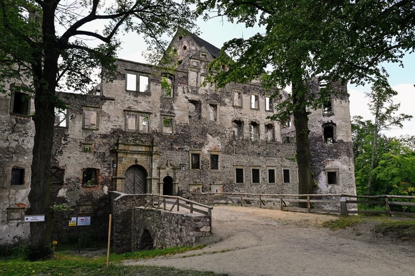 Zamek Świny. Klimatyczny zabytek nieopodal Bolkowa, ponad godzinę jazdy samochodem z Wrocławia