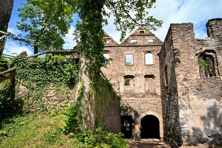 Zamek Świny. Klimatyczny zabytek nieopodal Bolkowa, ponad godzinę jazdy samochodem z Wrocławia