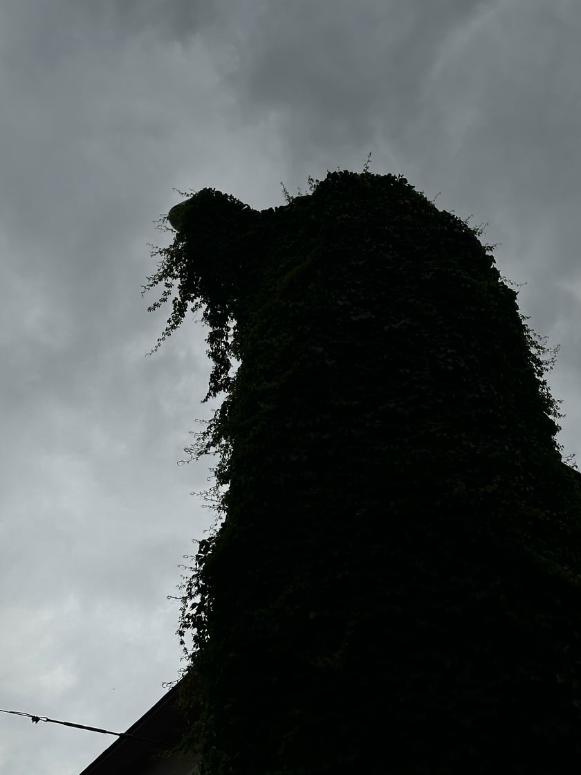 Upiorna latarnia we Wrocławiu - zdjęcia za dnia