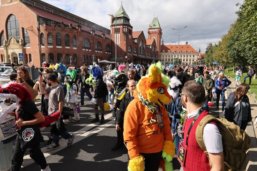 Wrocławski Furwalk 2024