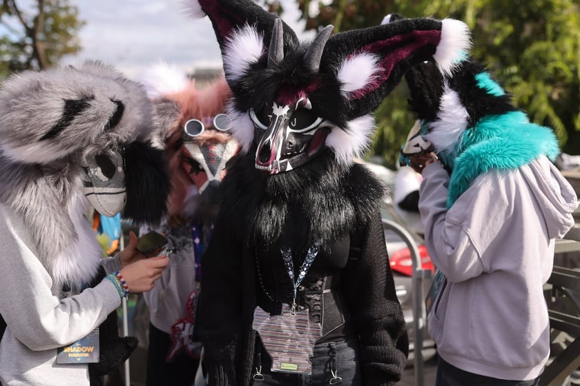 Wrocławski Furwalk 2024
