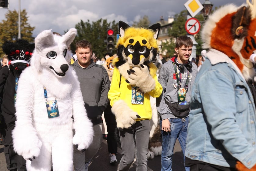 Wrocławski Furwalk 2024
