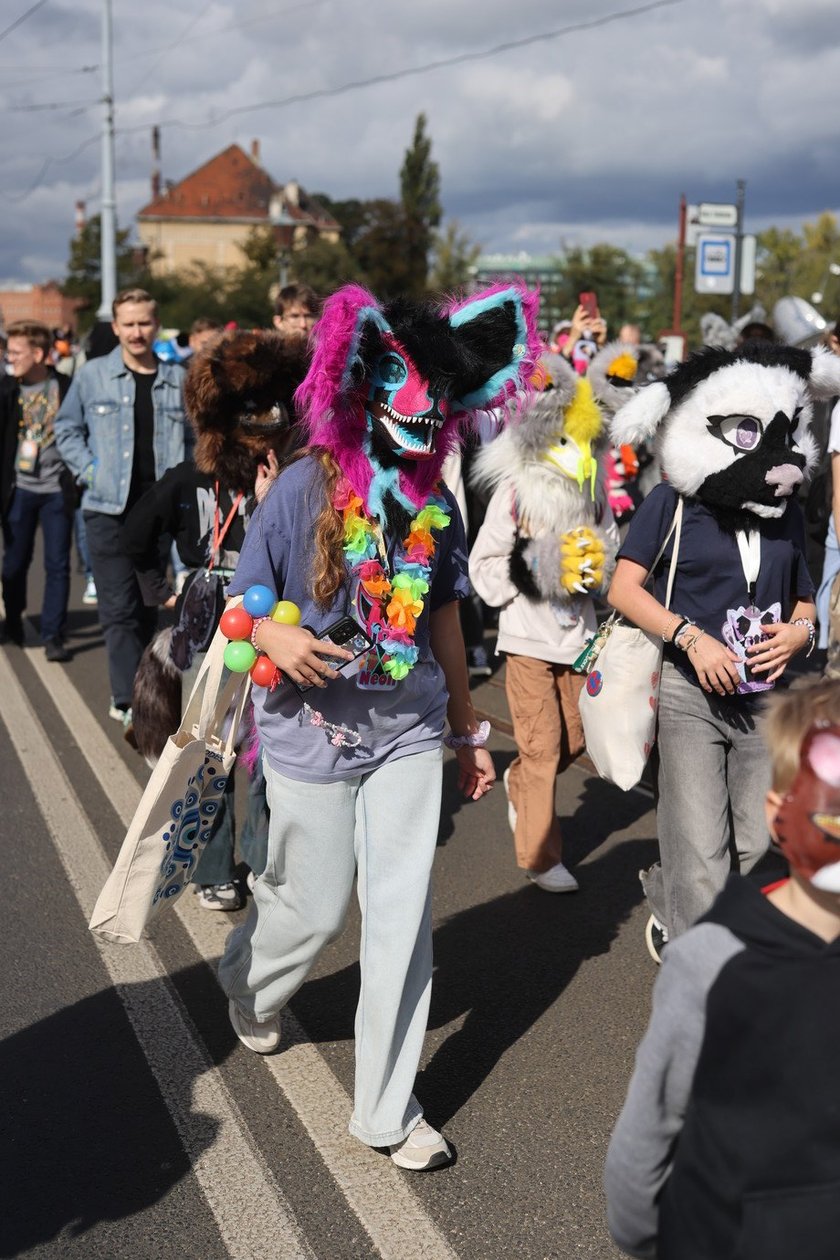 Wrocławski Furwalk 2024