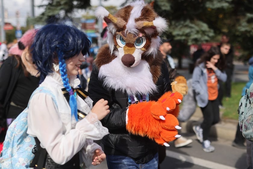 Wrocławski Furwalk 2024