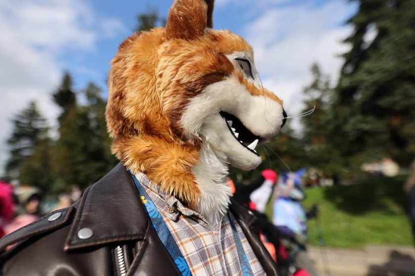 Wrocławski Furwalk 2024