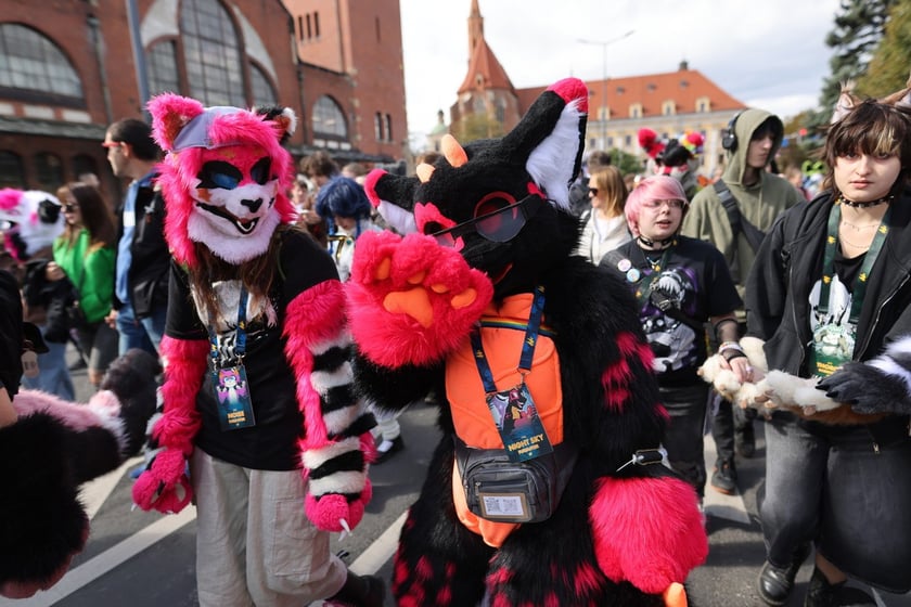 Wrocławski Furwalk 2024