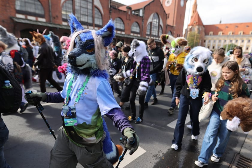 Wrocławski Furwalk 2024