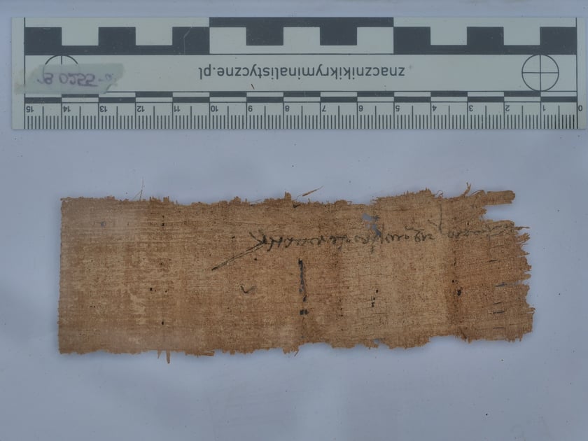 Papirus znaleziony na cmentarzysku zwierząt w Berenike